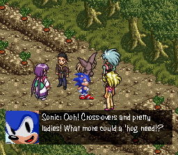 Sonic: Ooh! Cross-overs and pretty ladies! What more could a 'hog need!?